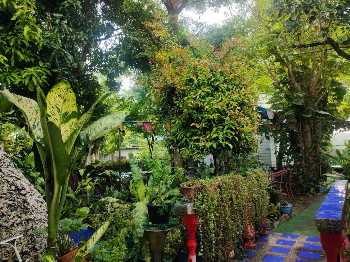 Everest Resort Samui - Sha Plus Mae Nam Esterno foto